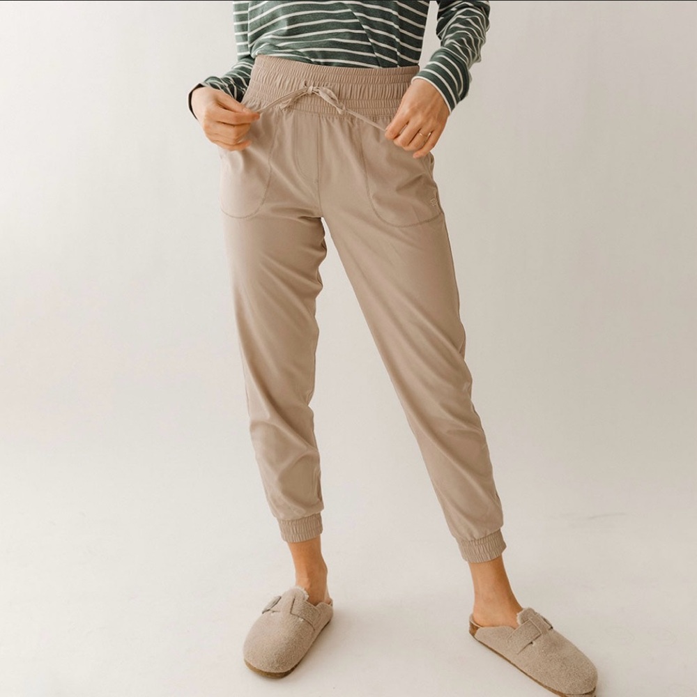 Albion Fit Destination joggers size Small petite in color brindle